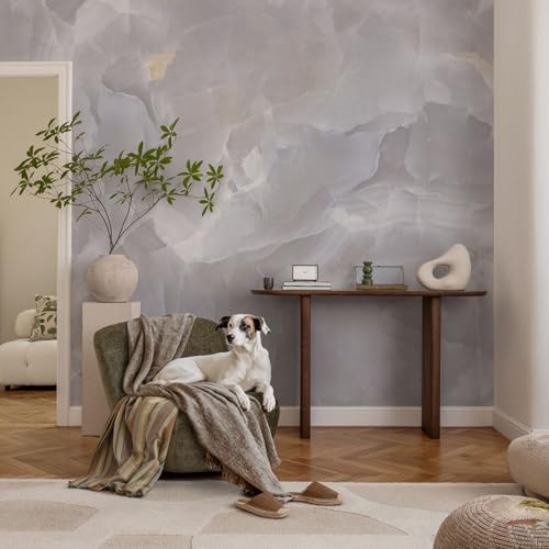Cubiertas de pared texturizadas 152x104 de mármol exclusivo 3