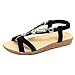 MORCHAN-FASHION Arbre 270 Chaussures Chaussure Aquatique Armistice Femme mnd elargisseur Taekwondo élargisseur désinfectant Colle Art ràgement Etagere Magnum Sac Voyage Cire Noir 80 Femme yamazaki