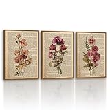 Vintage Botanical Wall Art Set of 3 12x16 Inch Framed Floral Prints, Rustic Antique Book Page Style Flower Artwork, Retro Farmhouse Living Room Bedroom Cottage Entryway Kitchen Office Décor