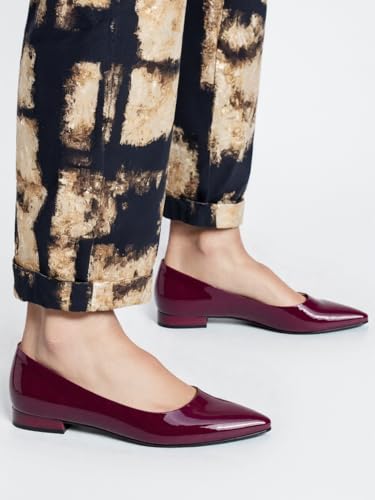 Casual Ballet Flats for Women Slip On Pointed Toe Ballet Flats Mary Jane4