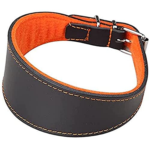 Arppe Collana Galgo o Pelle Superfelt