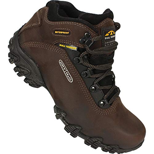 BOTA BULL TERRIER ALPINA DRY 118907 43 BURNET