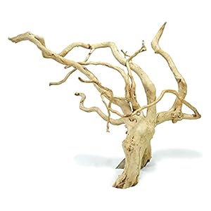Driftwood for Aquarium Fish Tank (1 pcs)