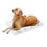 36 x 23 Zoll Welpen französische Bulldogge mit der gleichen Geste große individuell bedruckte Bettwäsche weiche Haustier Hundebetten Welpen Katzen Möbel Matte Cave Pad Cover Kissen Indoor Geschenk 36 X 23 Zoll