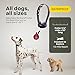 Mini Educator E-Collar ET-300 / ET-302 Dog Training Collar System with Remote - 1/2 Mile Range - Waterproof, Vibration, Sensation - Includes eOutletDeals Pet Towel (1 Dog System - ET-300 RED)