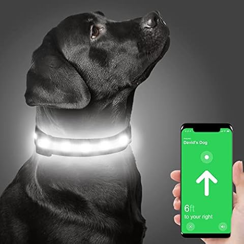 Dynmeow Collar Luminoso Perro con Airtag USB Recargable y Impermeable Cover