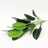 Cette plante artificielle en pot ne nécessite aucun temps ou effort de votre part. Parfait pour ceux qui sont occupés mais qui veulent une atmosphère verte.
