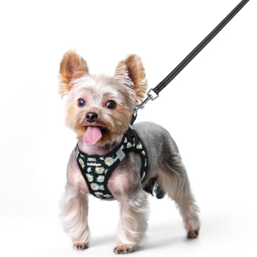 Image of rabbitgoo Dog Harness Small Sized and Leash Set, Step-in Puppy Pet Vest