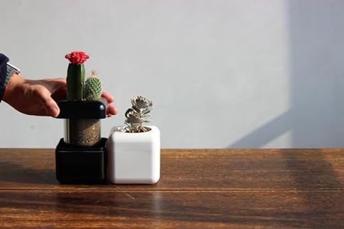 [ブラック]根腐れ防止!多肉植物専用の室内用植木鉢「サボテンハウス(R)」 かわいいキューブ型植木鉢 日用品 贈答品 プレゼント ギフト_GD02
