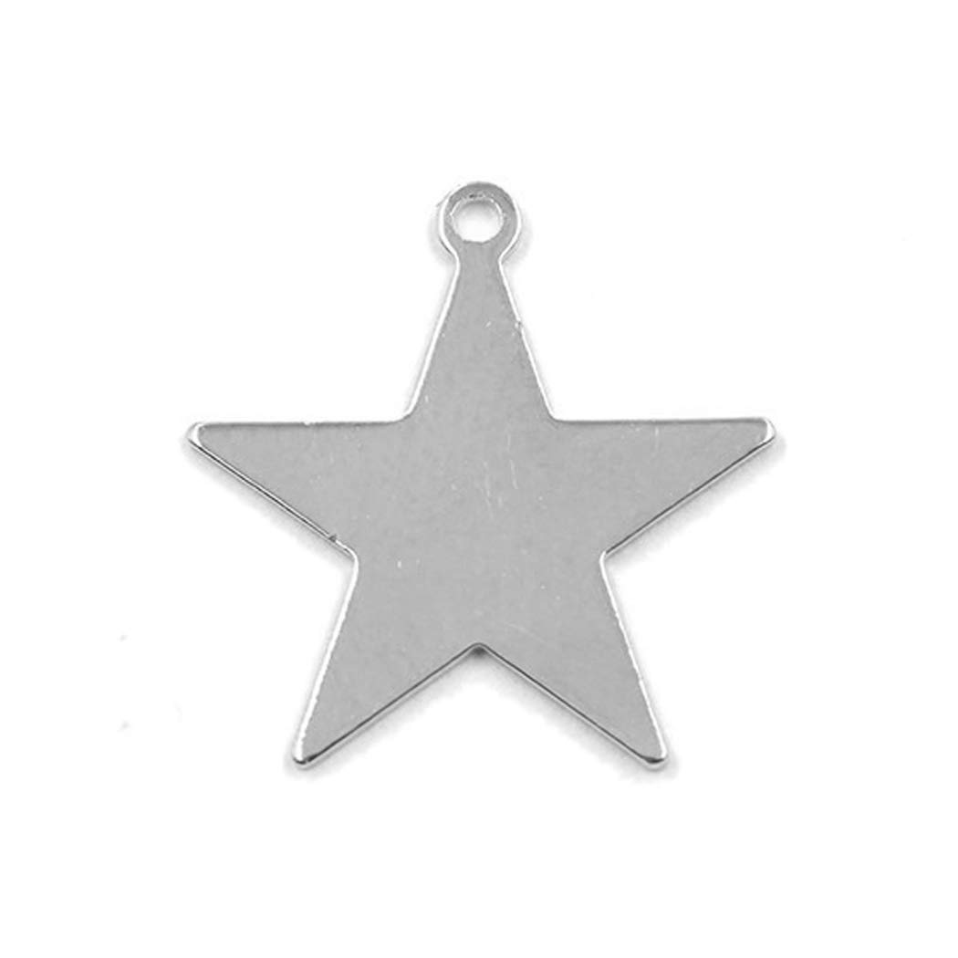 Amazon | 【2個】 ステンレス スターチャーム 星 プレート カン付き 
