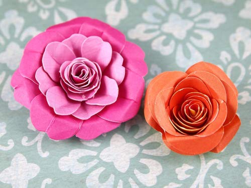 花卉圖17 Amazon | Sizzix 植物 花3D フラワー3D バラ大 657153 【日本
