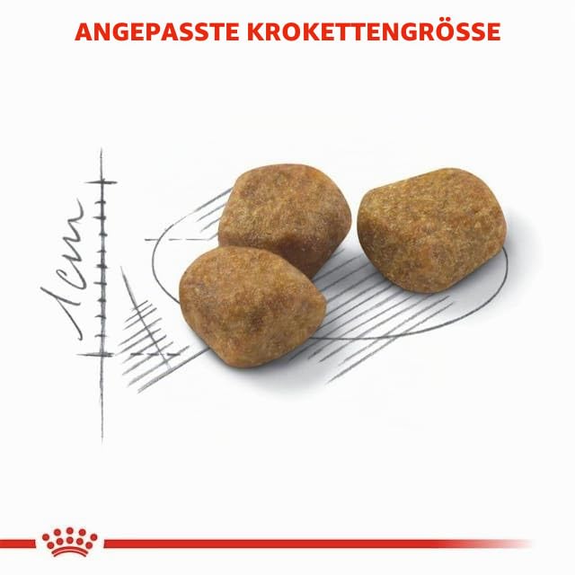 Royal Canin Indoor 7+ | Doppelpack | 2 x 400 g | Alleinfuttermittel speziell für ältere Katzen die im Haus Leben | Kann die Nieren- und Harnwegsfunktion unterstützen