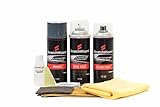 ScratchWizard Automotive Spray Paint intended for Jagua S-Type 2008 (2029/MEE) Liquid Silver Metallic (Spray Paint Kits)