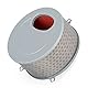 Areyourshop Waschbarer Luftfilter Passend für Daelim Daystar VL125 Fi EFI 17213-BA1-0000 Hoher Luftdurchfluss & Exzellente Filtration