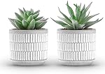 Der Rose Set of 2 Succulents Plants Artificial Fake Plants for Living Room Bathroom Bedroom Aesthetic Home Shelf Decor Indoor