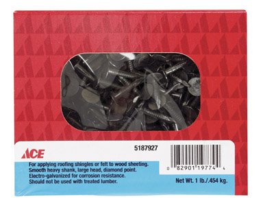 NAIL ROOF EG STL 3/4