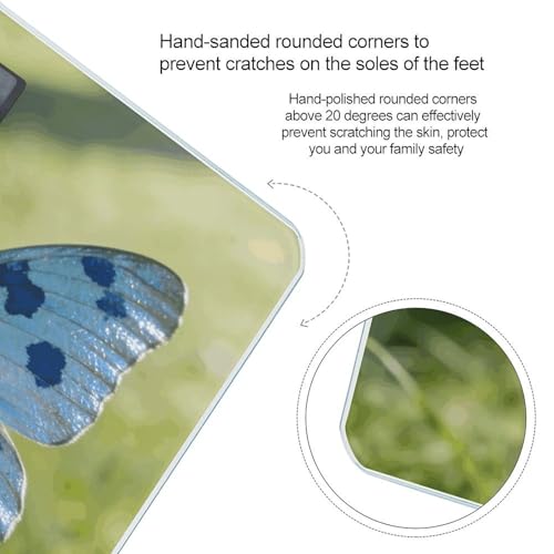 Báscula digital Light Blue Butterfly con LCD grande y 180 kg miniatura 4