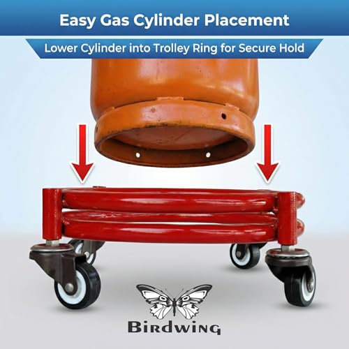 Image of Rincy Stainless Steel Wheel LPG Gas Cylinder Trolley with 4 Wheels (2 Pcs) - BRG Gas Cylinder Trolley (Multicolor, Pack of 2)