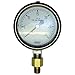 Pressure Gauge;2-1/2, 0-30 PSI