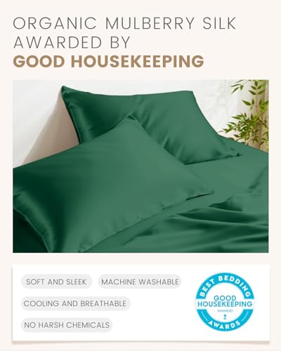 THXSILK 100% Mulberry Silk Pillowcase for Hair and Skin Health, Hidden Zipper, 6A+ Silk Both Sides Smooth, Breathable and Natural, Sleep Pillow Case (Standard 20"x26", Emerald Green)