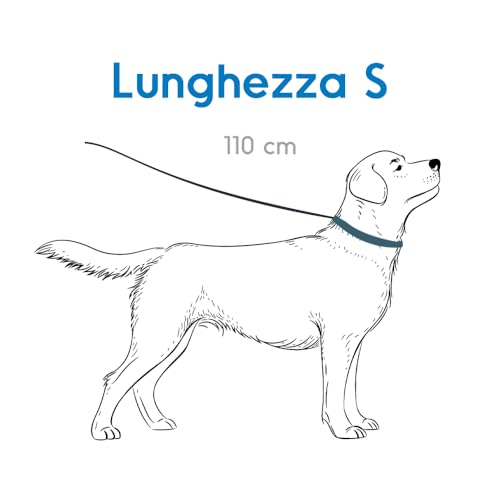 Record Action Guinzaglio Rosso S 1,5X110 - 2