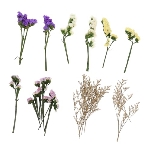 Flores secas para decoración de velas