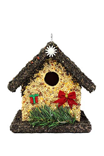 Edible Birdhouses Handmade Unique Wooden Birdhouse Covered W/Birdseed- Reseedable Bird Feeder-Made In Usa- Holiday Design! (Sd) #TOP14