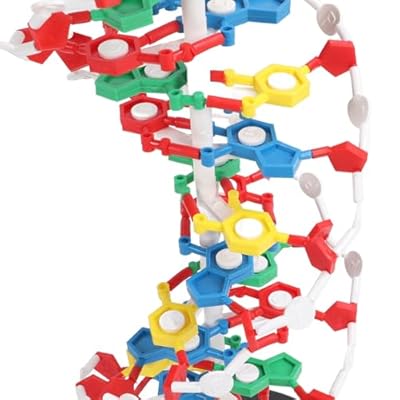 3B