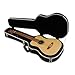 SKB 1SKB-300 Baby Mini Acoustic Guitar Hard Case Fits Taylor/Martin LX and More