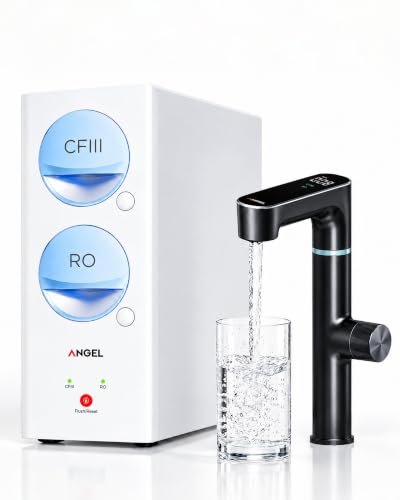 Angel X4 1000 GPD Tankless RO
