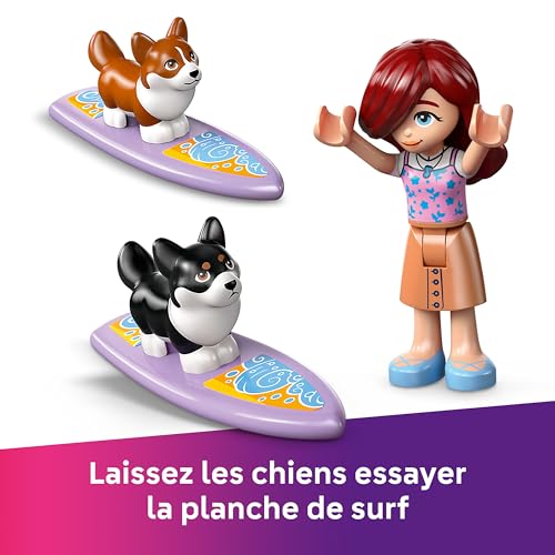 Lego Friends Chiens Surfeurs Et Aventures En Scooter 42641 Lego La Boite - vue 6