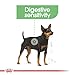 Royal Canin Digestive Care | 12 x 85 g | Nassfutter für ausgewachsene Hunde | Ab dem 10. Lebensmonat | Für Hunde mit empfindlicher Verdauung geeignet