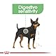 Royal Canin Digestive Care | 12 x 85 g | Nassfutter für ausgewachsene Hunde | Ab dem 10. Lebensmonat | Für Hunde mit empfindlicher Verdauung geeignet