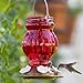 Nature's Way Hanging Glass Hummingbird Feeder for Outdoor Decor, 25 Ounce Capacity Nectar Feeder, 5 Easy to Clean Flexible Ports, Red