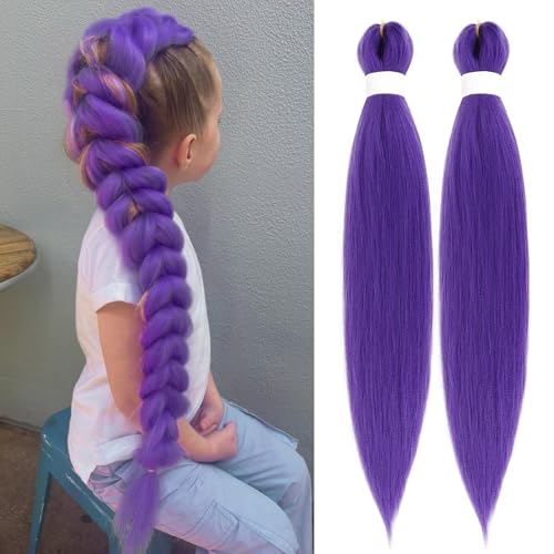 Long Purple Braiding Hair Pre Stretched 26Inch Synthetic DIY Braiding Hair Extensions For Braids 2 packs Purple Rumi Hair Extensions For Stage Party Halloween Costume Cosplay