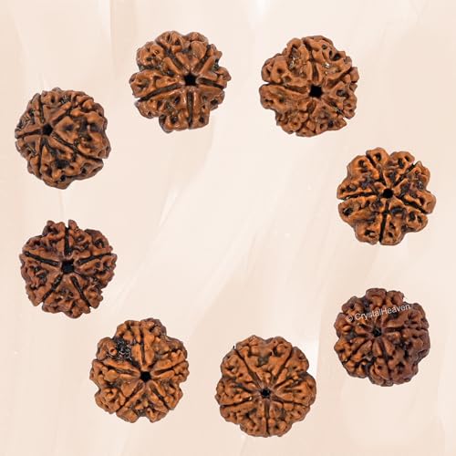 Crystal Heaven 5 Mukhi Rudraksha Original Certified Bead - Natural Nepali 5 Mukhi Rudraks For Meditation And Prayer, Protection, Chakra Balancing, Spiritual Growth And Diy Pooja Supplies