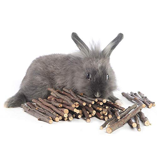 William Craft Apple Sticks Pet Chew Toys Treats for Chinchilla Guinea Pigs Rabbits Squirrel Hamster Bunny - Image 7