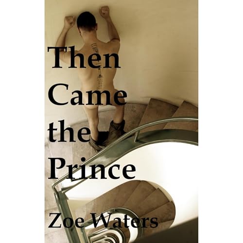 Then Came the Prince Audiolibro Por Zoe Waters arte de portada