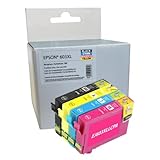 cartouche encre epson generique Compatible Pack de 4 Cartouches d\'encre générique Compatible pour Epson 603XL - T603XL - C13T03A64010 Etoile de mer