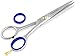 Produktbild Profi Haarschere Friseurschere Effilierschere Modellierschere Edelstahl Rostfrei Haarschneideschere mit Scharfer Schneide für einen perfekten Haarschnitt (5,5 Zoll/13,97 cm, Haarschere Professional)