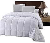 Royal Hotel Comforter White Down Alternative - Queen Quilted Duvet Insert - Hypoallergenic All-Season Comforter with Corner Tabs - Hotel Down Alternative Plush Fill - Queen
