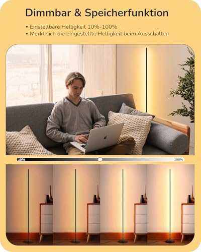 EDISHINE 2 Stück Stehlampe Wohnzimmer, LED Stehlampe Dimmbar, 3000K warmweiße Stehleuchte mit Memory-Funktion, höhenverstellbar 146 cm, moderne Standleuchte für Schlafzimmer und Büro, Schwarz