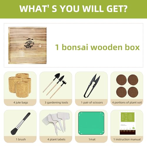 Kit de cultivo de árbol bonsai todo en uno miniatura 2