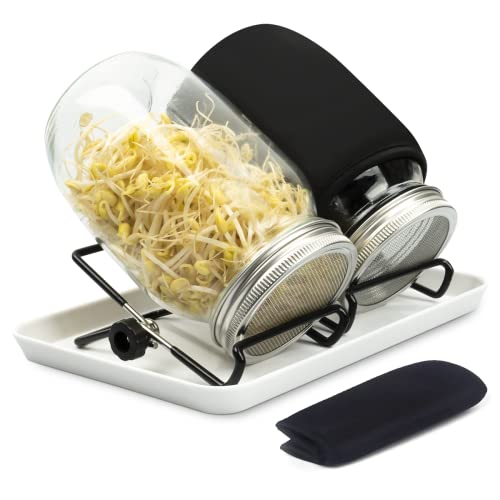 Top 10 Picks Best Seed Sprouting Kit For 2024 Glory Cycles