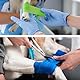 DODUOS 12 Rollen 7.5cm × 4m Fixierbinde Cohesive Selbsthaftende Bandage für Erste, Selbstklebender Verband, Kohäsiver Verband für Hund Katze Füße Fingerpflaster Knöchelverstauchungen(Bunt)