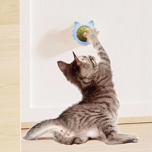 Balle de jouets à l'herbe à chat à fixer au mur pour occuper votre chat en intérieur - 3
