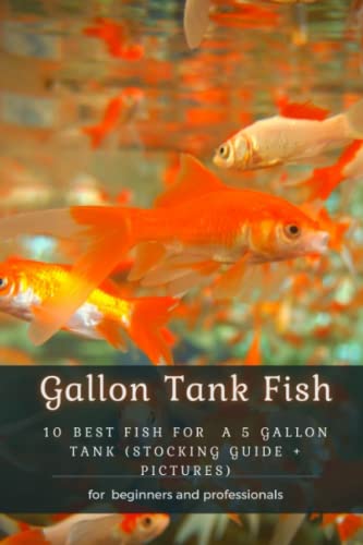 Gallon Tank Fish: 10 Best Fish fÐ¾r Ð° 5 Gallon Tank (Stocking Guide + Pictures)
