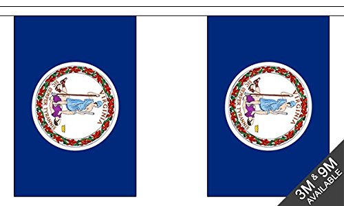 Flagtex Virginia Fabric Bunting – 3m with 10 Flags – Indoor & Outdoor Decoration – String Flags Banners VA State USA American South Mid-Atlantic