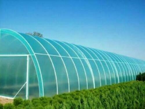 Provarm Film De Serre 6-8-10m Large - Très Transparent Résistant UV 10 Ans, Bâche Protection Jardin Intempéries, Épaisseur 0.150mm 3 Couches