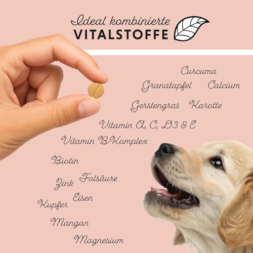 Annimally Dog's Daily Junior - Multivitamin Tabletten für Welpen & Junghunde, Vitamin B Komplex mit Calcium & natürlichen Pflanzenstoffen, 85 Stück